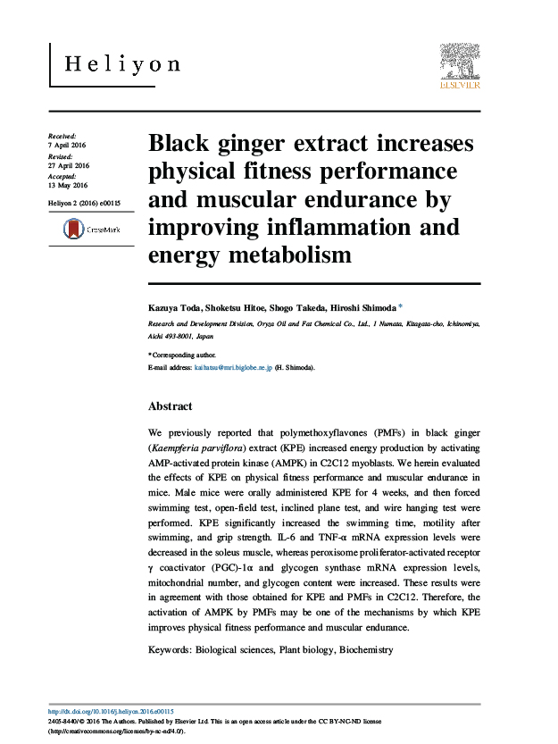 250620 WEBSITE BLACK GINGER-23